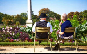 designing website for the elderly