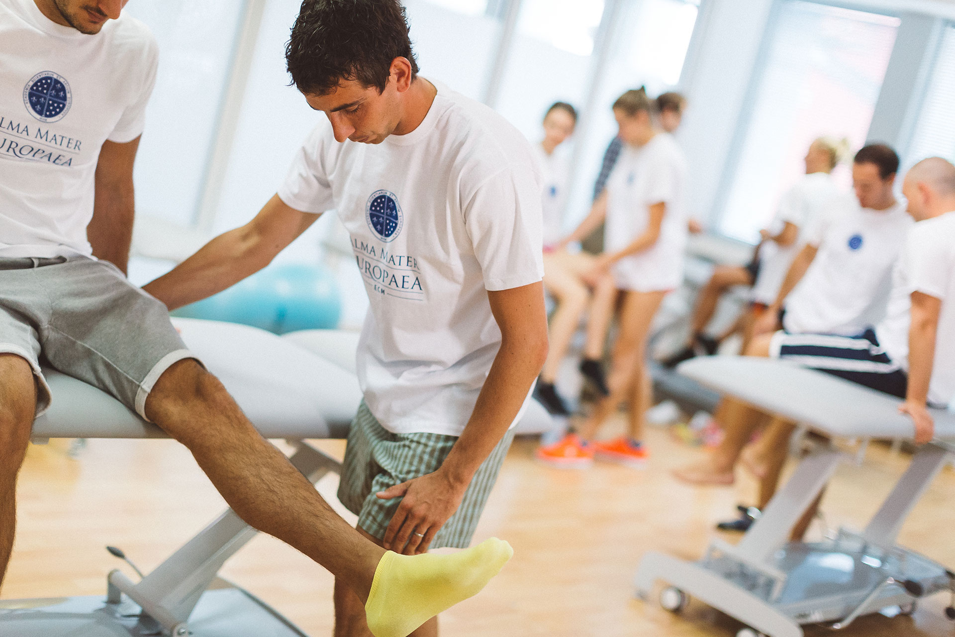 physical therapist